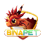 Binapet